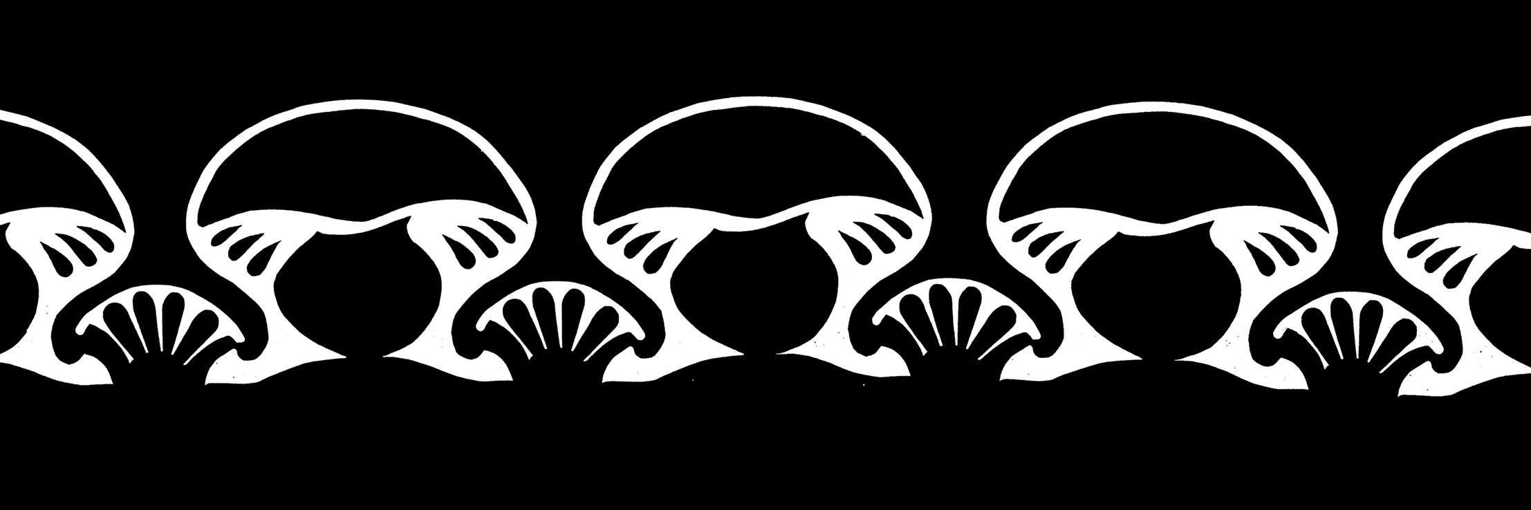 FARWESTFUNGI's profile banner image