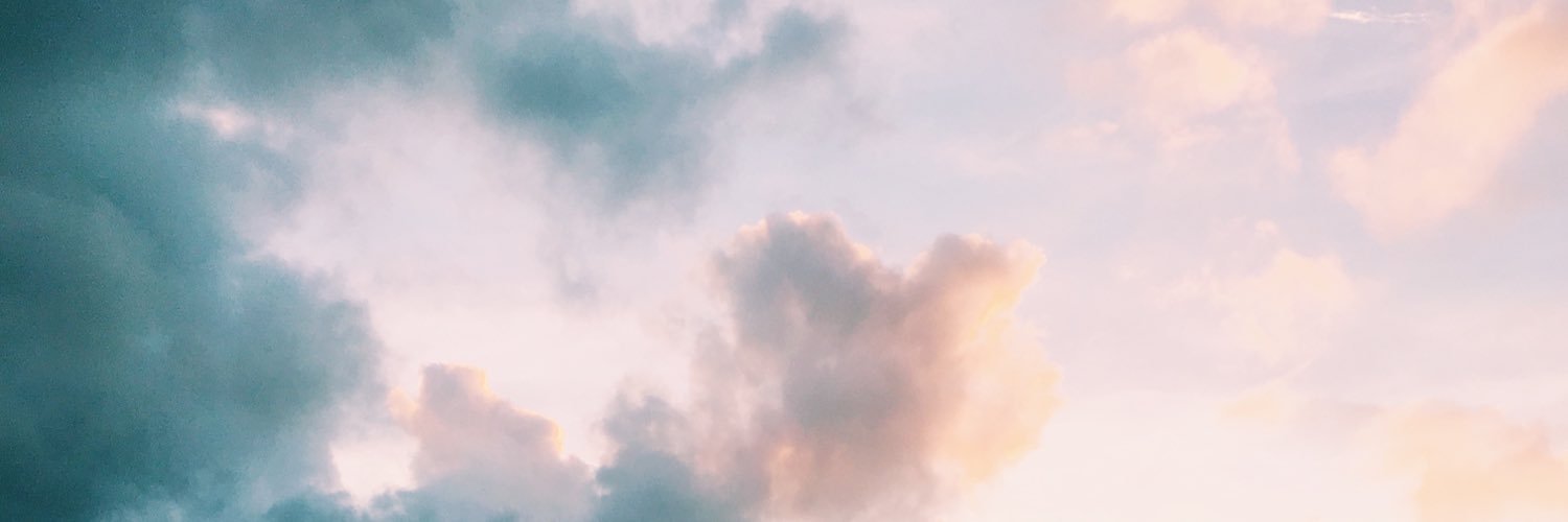 roa1313's profile banner image