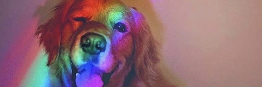 alyssaivey's profile banner image