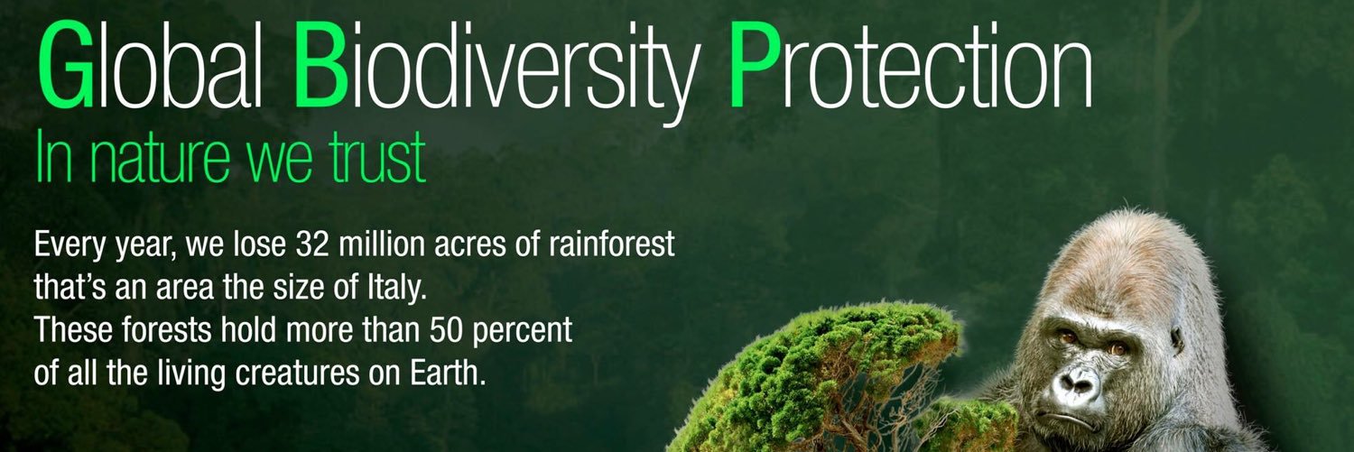 GBProtection's profile banner image