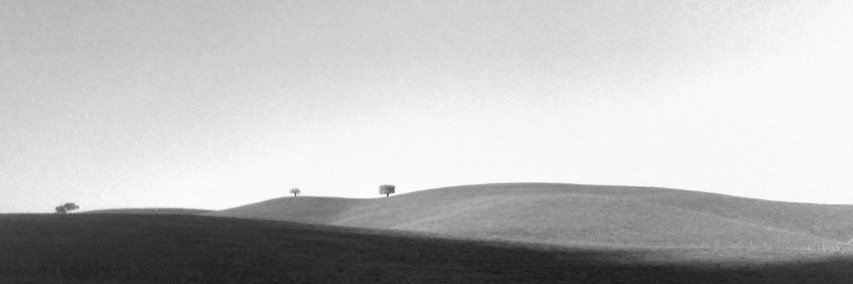 WiWavelength's profile banner image
