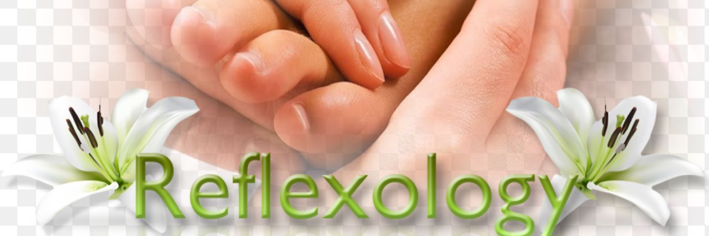 Monton Holistics banner