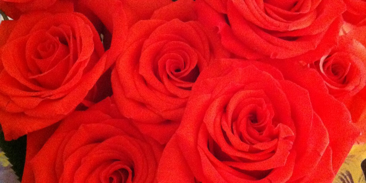sbarredo's profile banner image