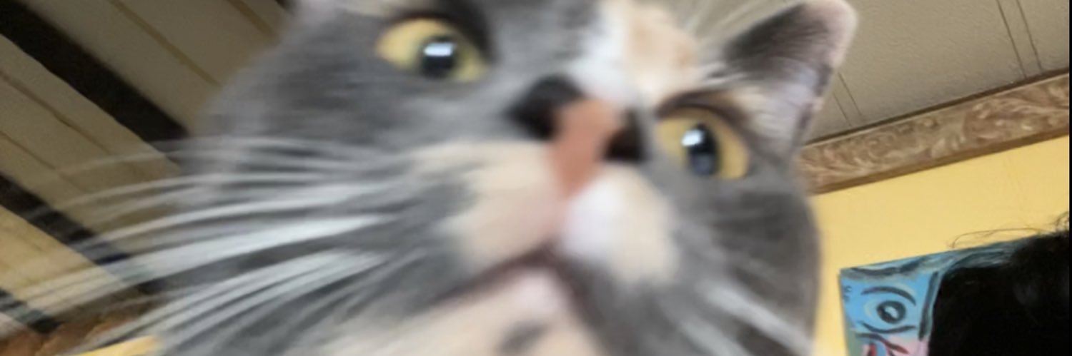EdloseReno's profile banner image