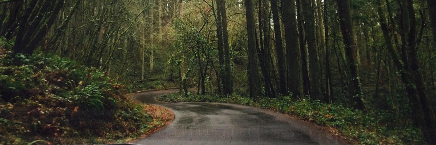 caitscat's profile banner image