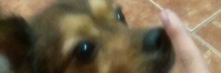 YisusCriz's profile banner image