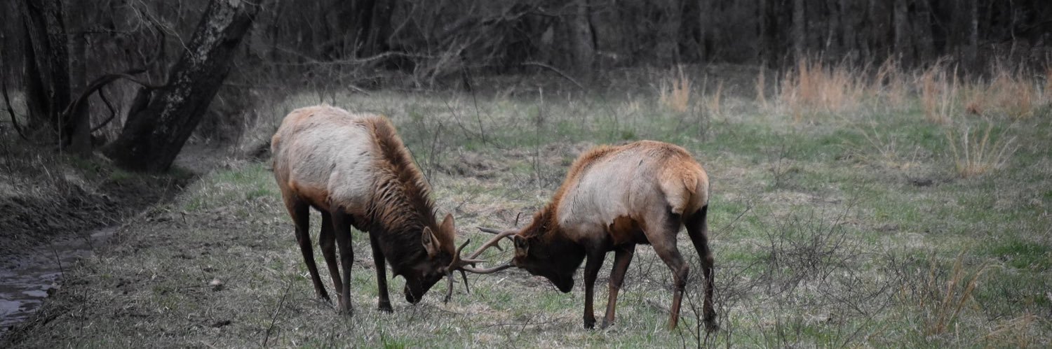 BlackMarketJuiceBox Energy Drink Sommelier banner