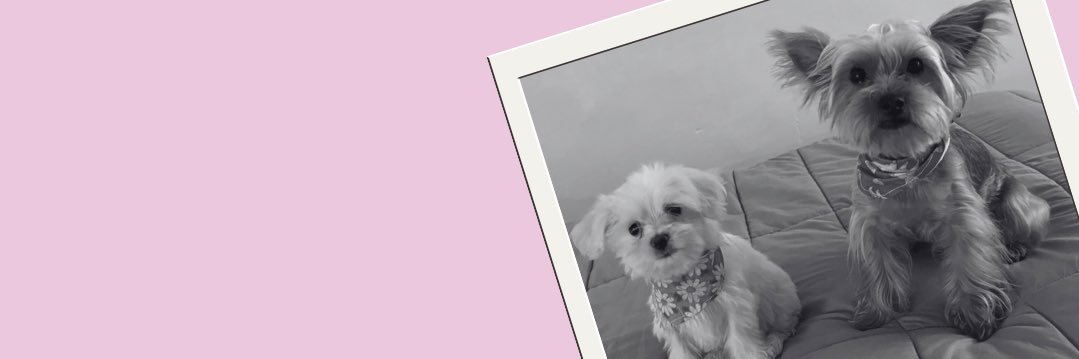 lindagc94's profile banner image
