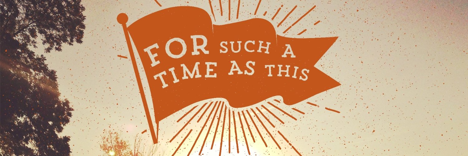 ErinJPorter's profile banner image