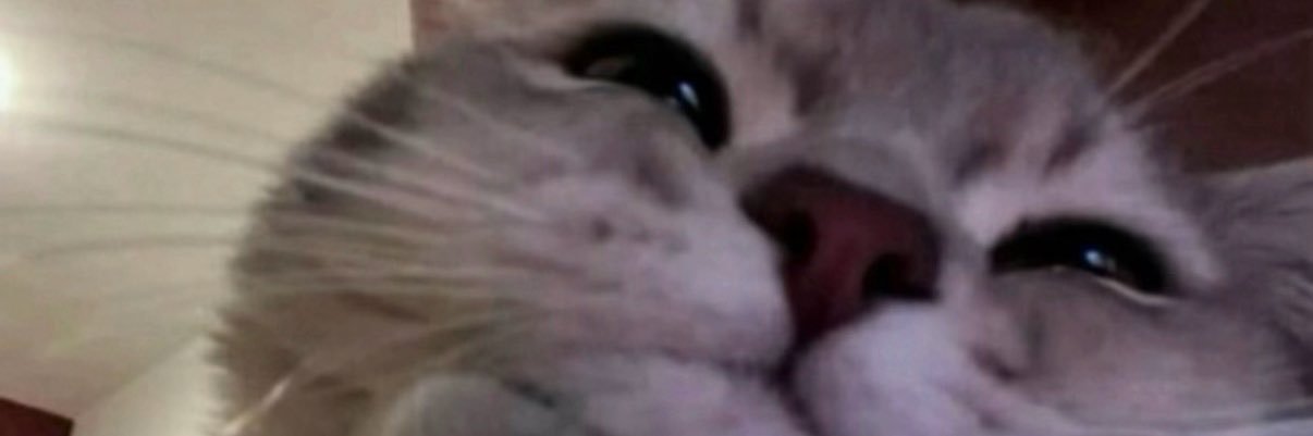 christhebby's profile banner image