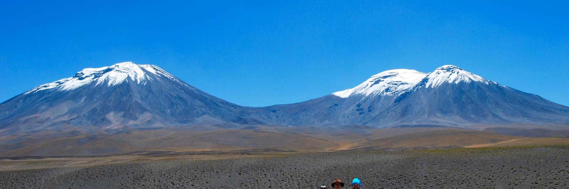 Dr. David Cavell banner