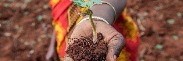 PlanAdapt Profile Banner