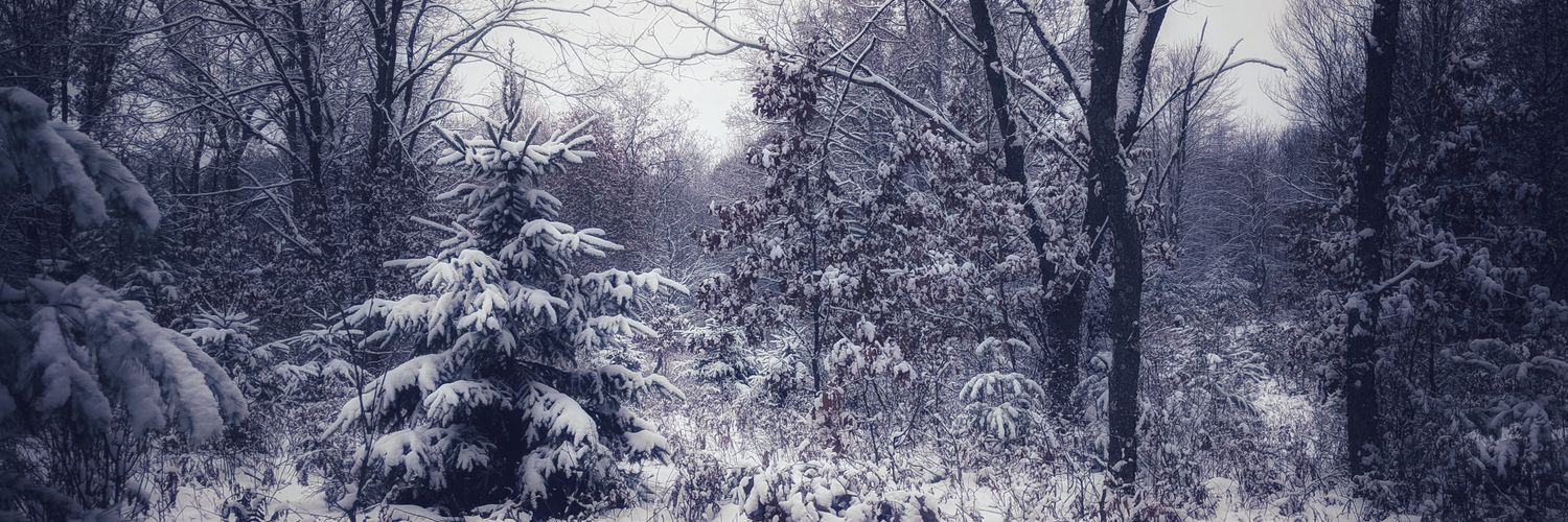 ChrisHowie's profile banner image