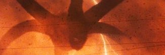 silviastos's profile banner image