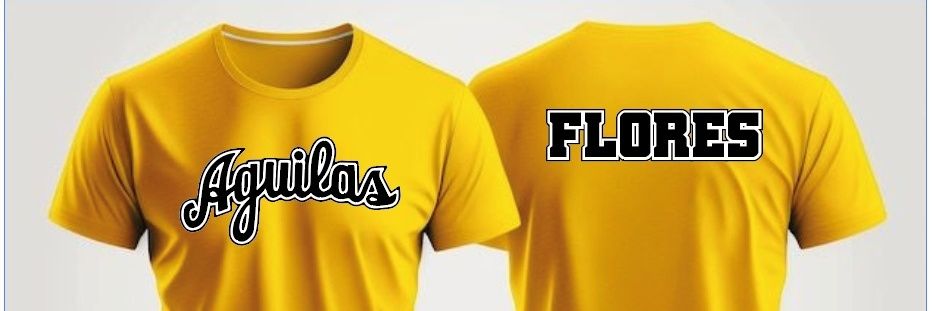 Paola Flores banner