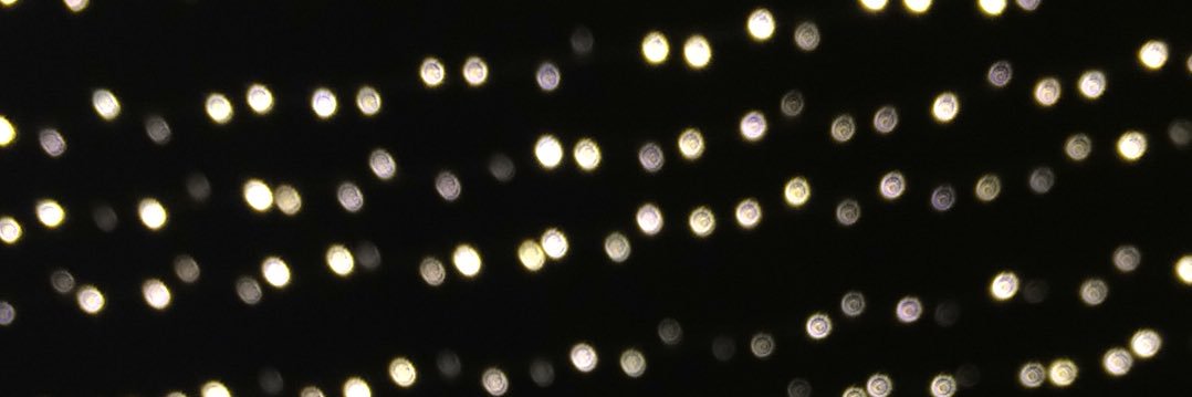 ingridmiiranda_'s profile banner image