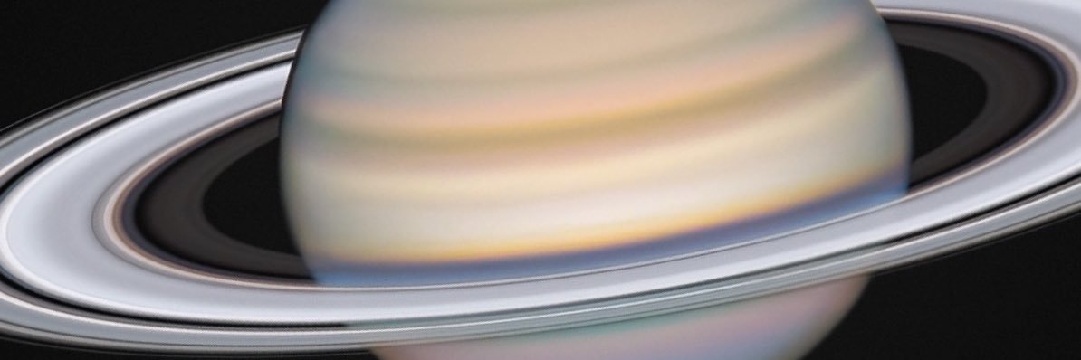 Michael🇺🇸 banner