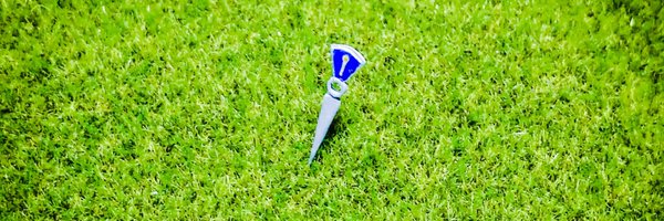 pymh_p Profile Banner