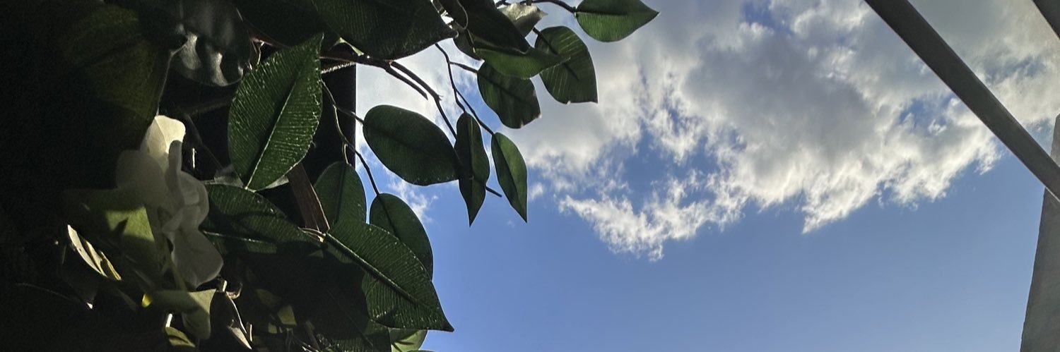 UrFavScorpio's profile banner image