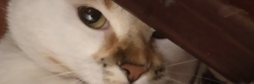 jackpod7's profile banner image