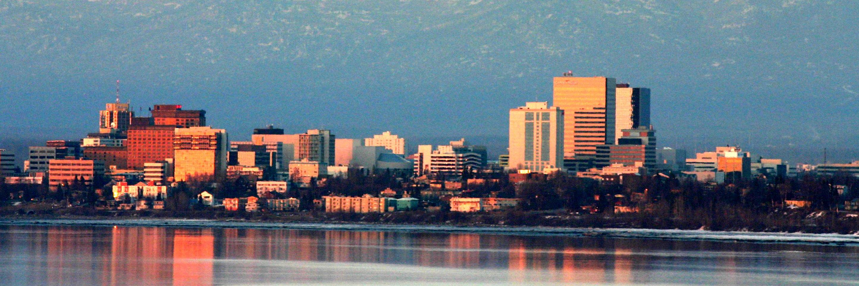 Bernie for Anchorage banner