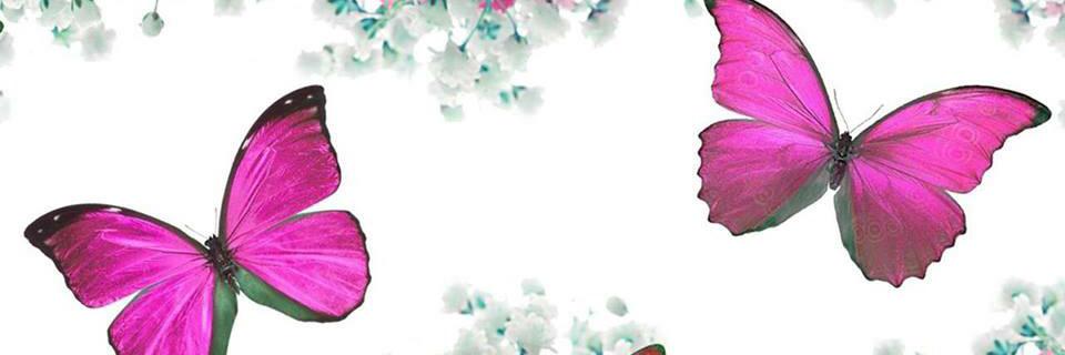 GDSWom's profile banner image