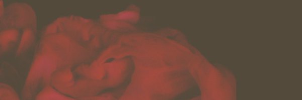 bbettie_cosplay Profile Banner