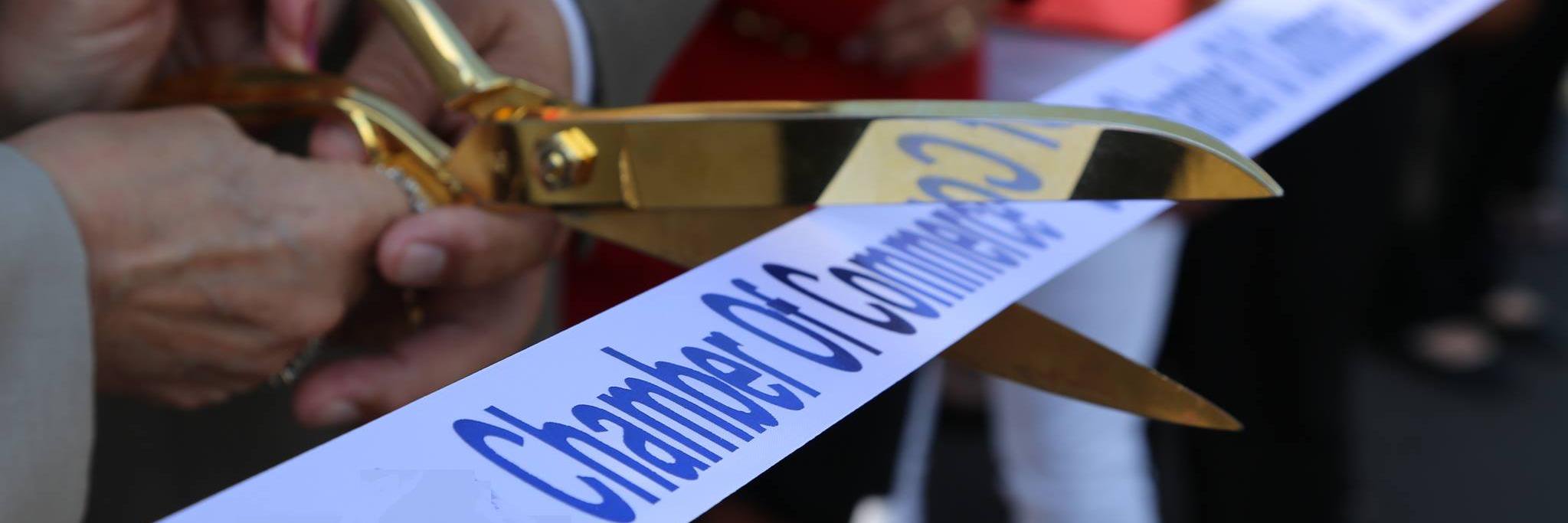 The Chamber banner