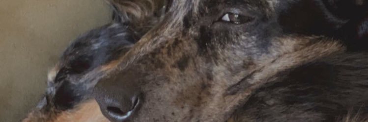 Lhuarc's profile banner image