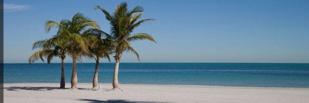 Clintonista1 🇺🇸 banner