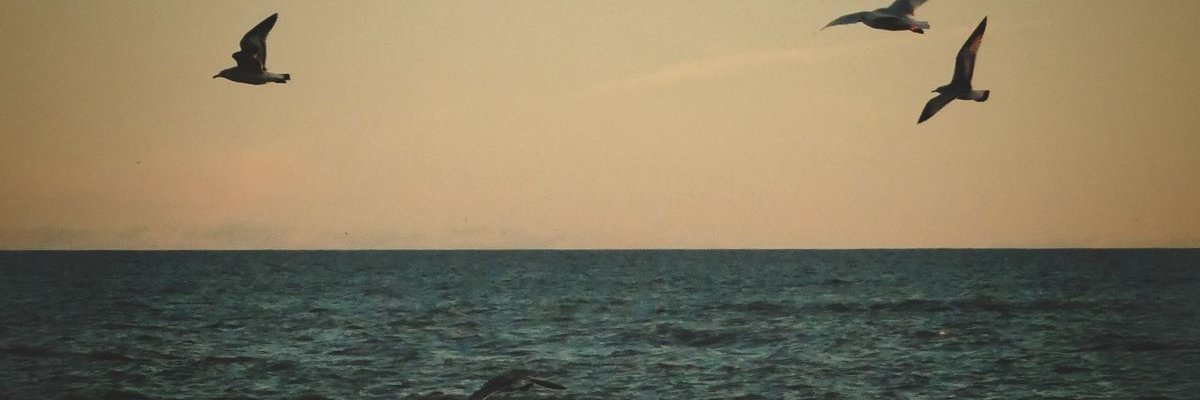 salih_7pulse4's profile banner image