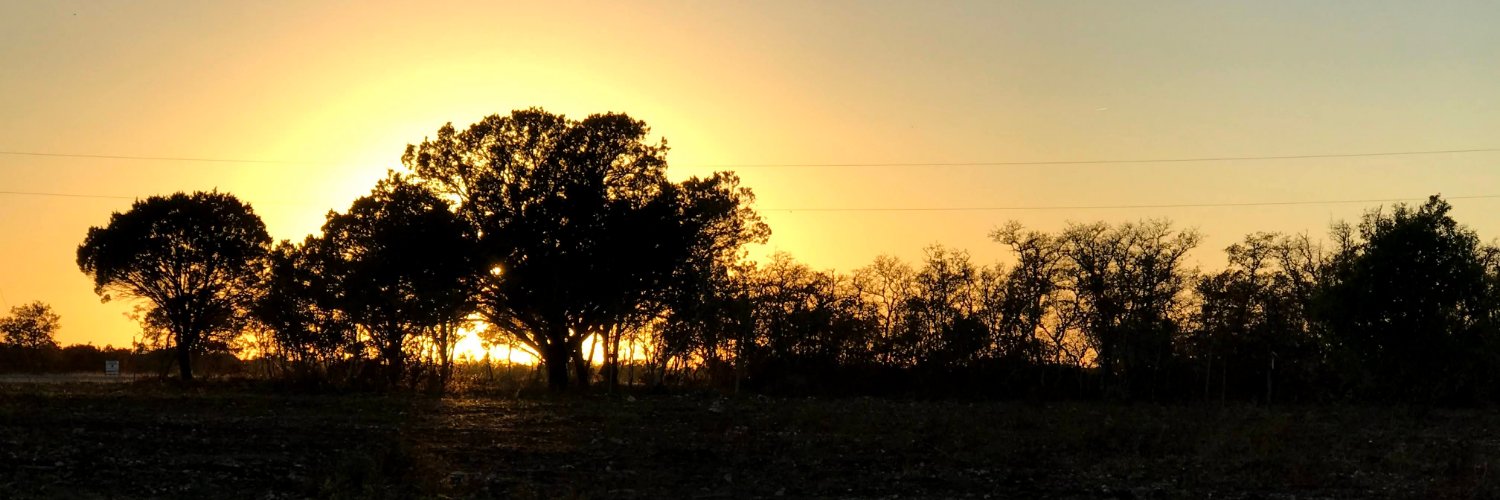 scchinn's profile banner image