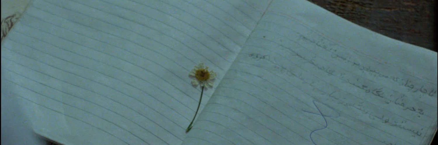 Farah 🇲🇾 banner