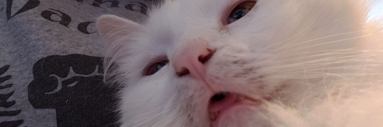 ooftabud's profile banner image