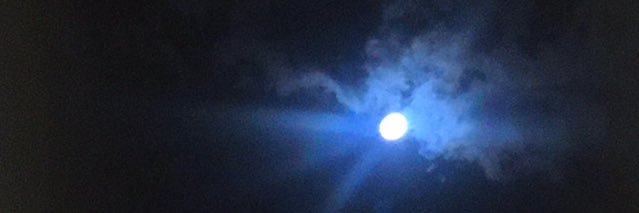 Sofnuts's profile banner image
