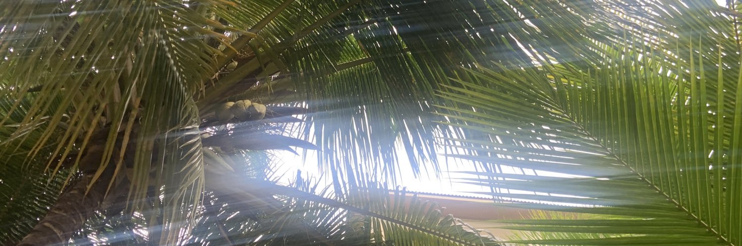 iDeaLau's profile banner image