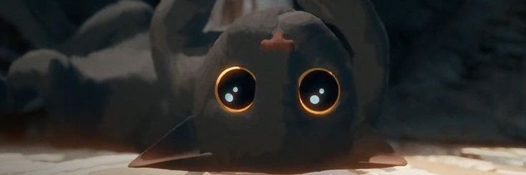 camila__mt's profile banner image