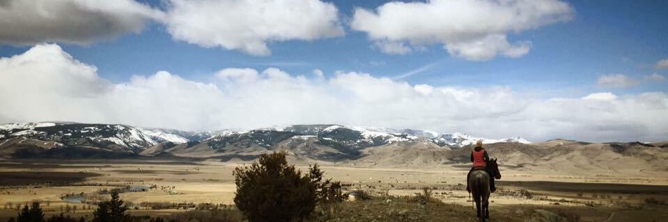 meganmcgrade's profile banner image