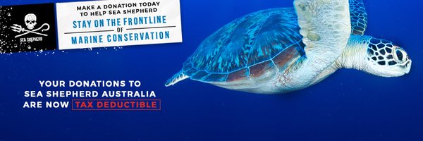 Jeff_Hansen Profile Banner