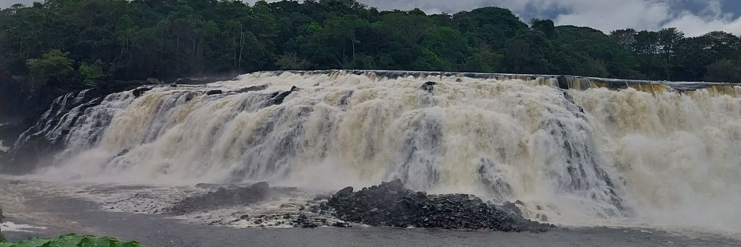 eilynaa's profile banner image