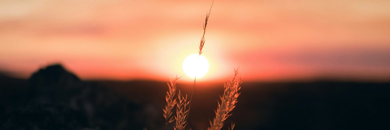 Mohammed Al Buraiki banner