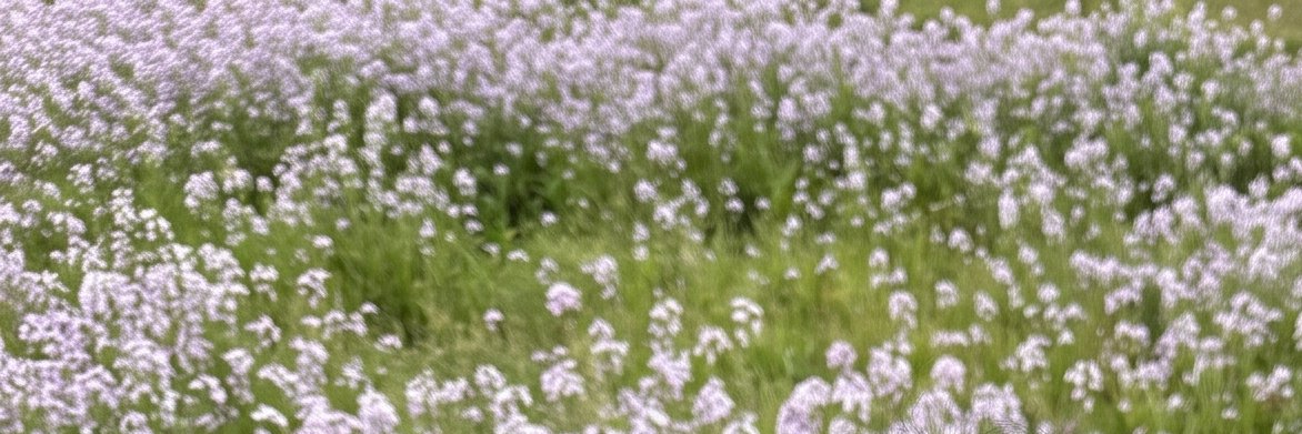 MrsMitchell10's profile banner image