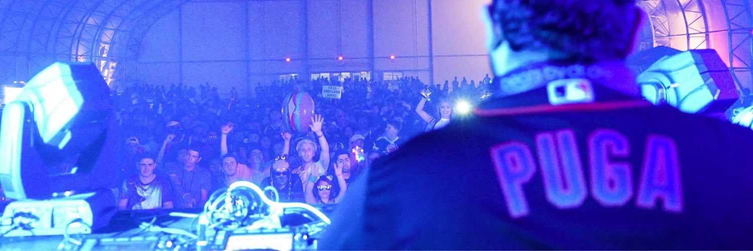 Professor FINESSER banner