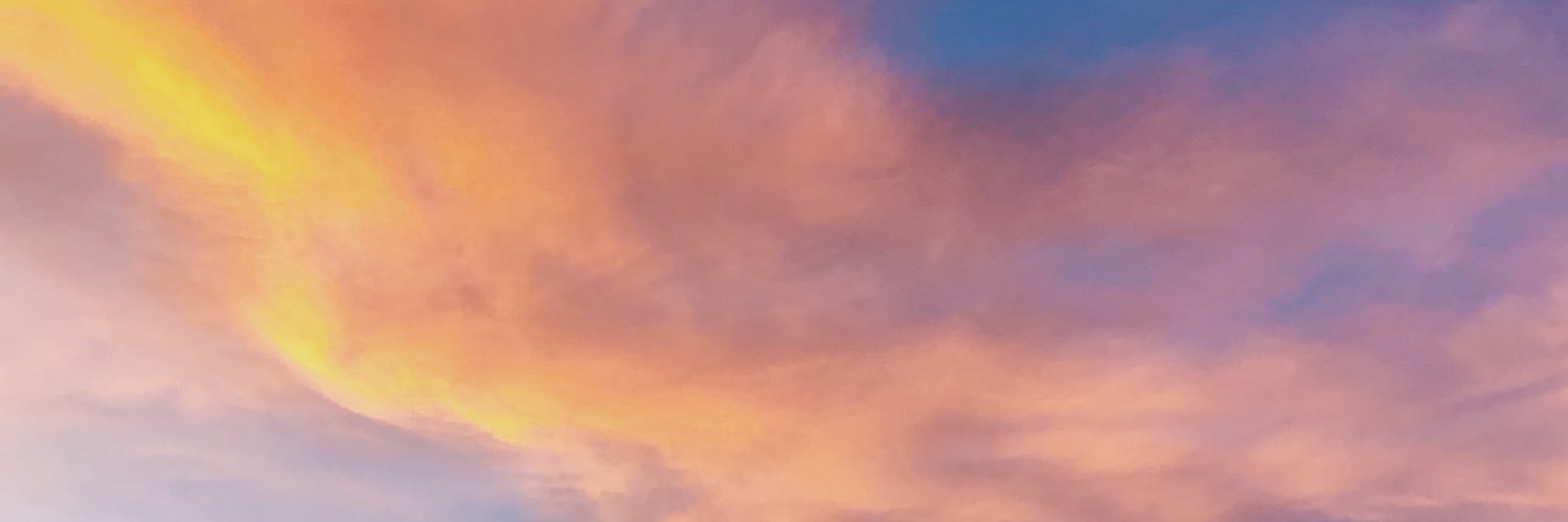 riskaincoss's profile banner image