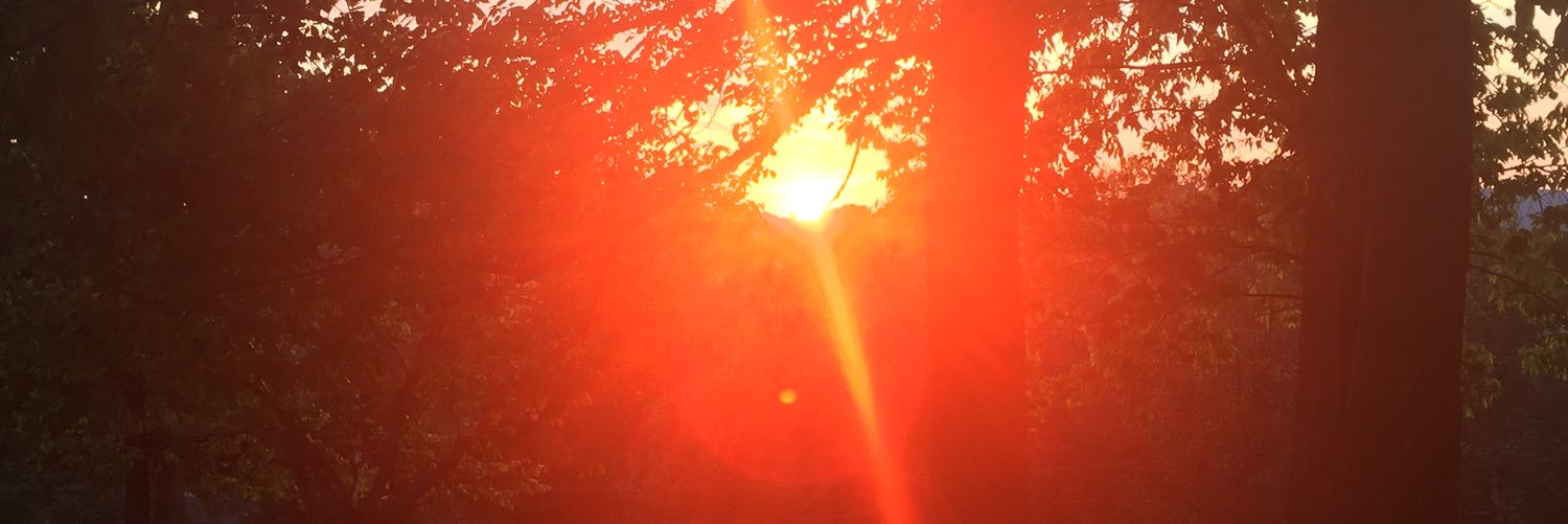 abbiecox's profile banner image
