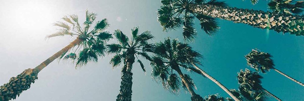 soooy83's profile banner image