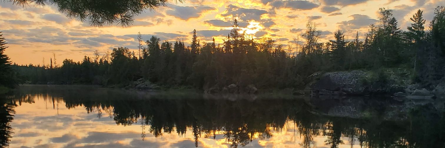 mfreitag79's profile banner image