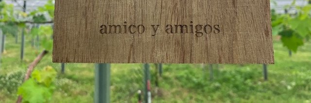 Ctenolepisma villosa banner