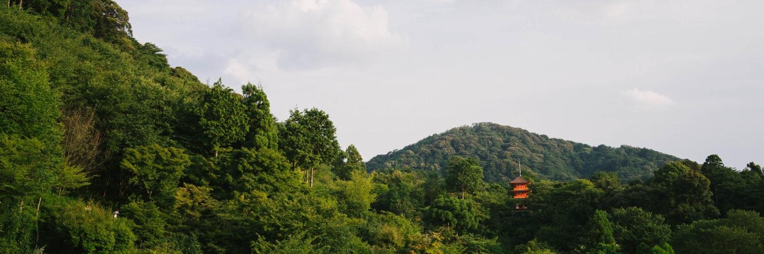 Filipe Varela banner