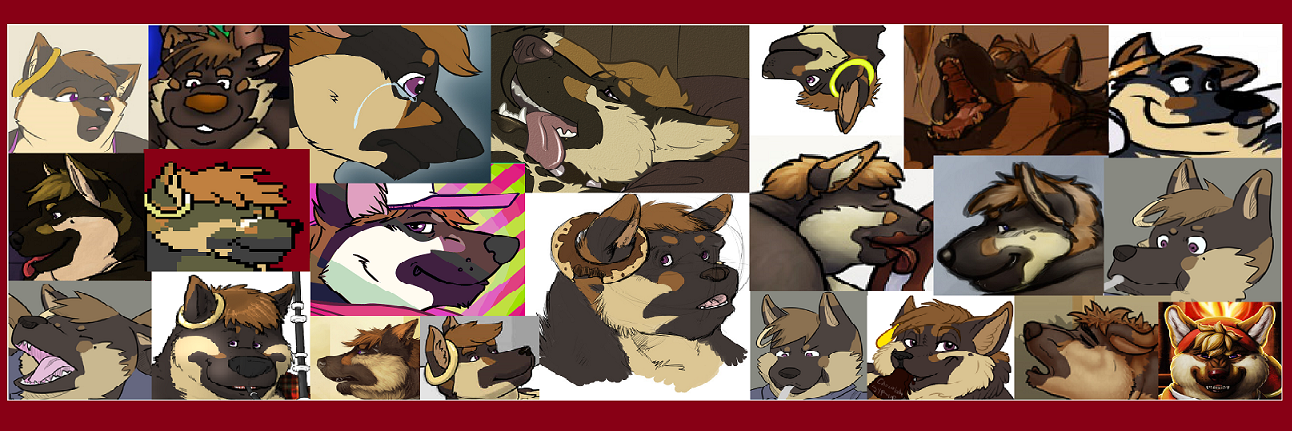 DerGuteSchäfer banner